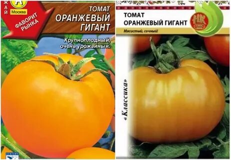 Томат оранжевый слон урожайность