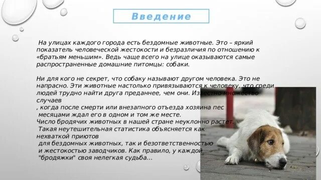 Собака бывает кусачей текст. Собака. От жизни собачей текст. Текст про собаку. Ю мориц собака бывает кусачей.