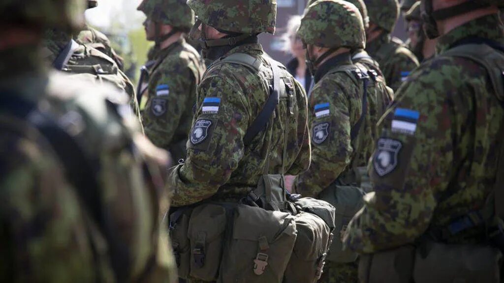 Эстония направит одного военного. Силы обороны Эстонии. Эстонская армия Кайтселийт. Разведка армии Эстонии. Военные силы Эстонии.