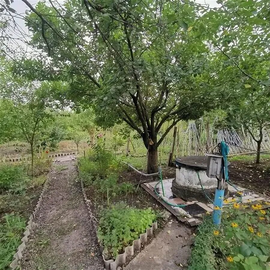 Картинка улицы Садовая Михайловск. Трудовая и Садовая Михайловск.