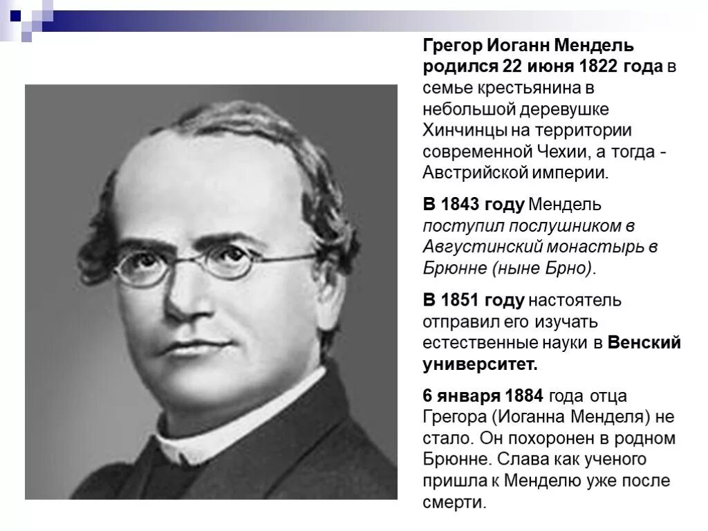 Создатель генетики. Грегор Мендель. Грегор Иоганн Мендель(1822 – 1884). Грегор Иоганн Мендель генетика. Грегор Мендель (1822 - 1884г.г.).