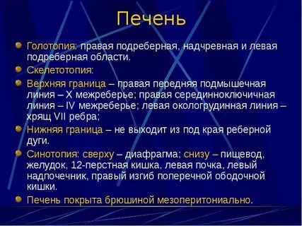 Границы печени