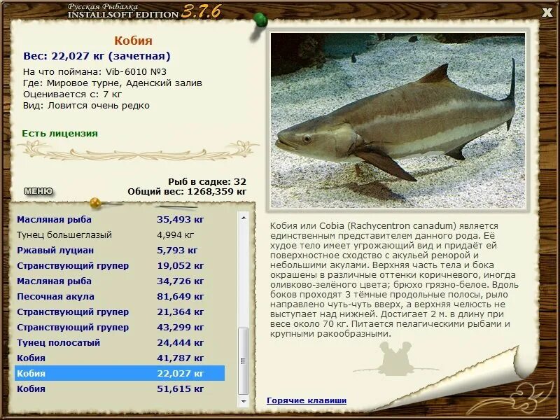 Panasonic барракуда. барракуда паттайя. барракуда против щуки. реальная рыбалка барракуда. реальная рыбалка таблица рекордов.