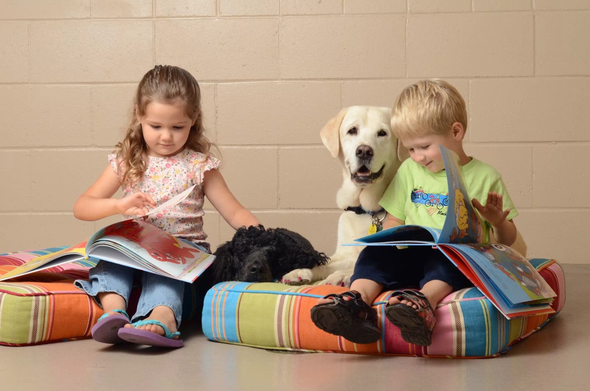 Дети д. Лабрадор канистерапия. Собаки для канистерапии. Анималотерапия собаки. Анималотерапия для детей.