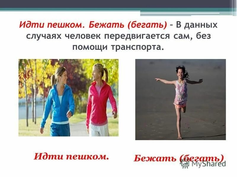 ходить пешком перевод. стихи про ходьбу. ходить пешком перевод. пешком ходить долго жить. пешие прогулки.