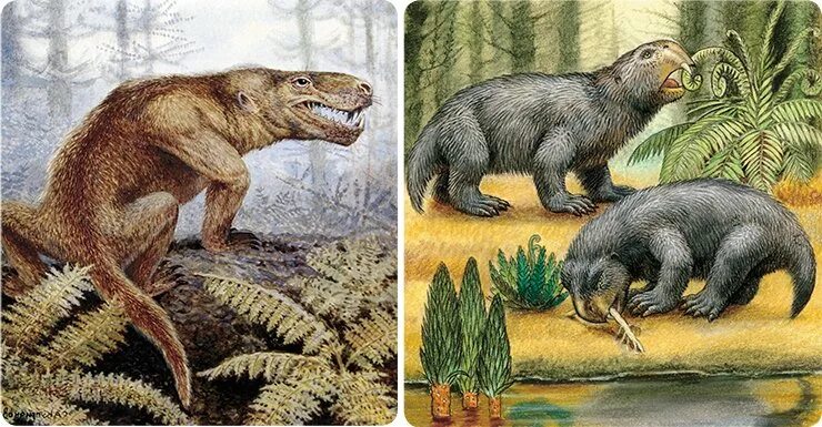 Общий предок млекопитающих. Предковые формы млекопитающих. Меланодон прародитель млекопитающих. Млекопитающие мезозойской эры. Предшественники млекопитающих.