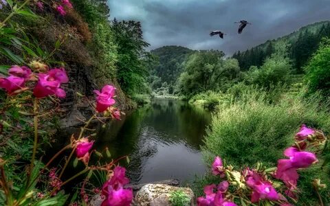 Бесплатные живые картинки природа