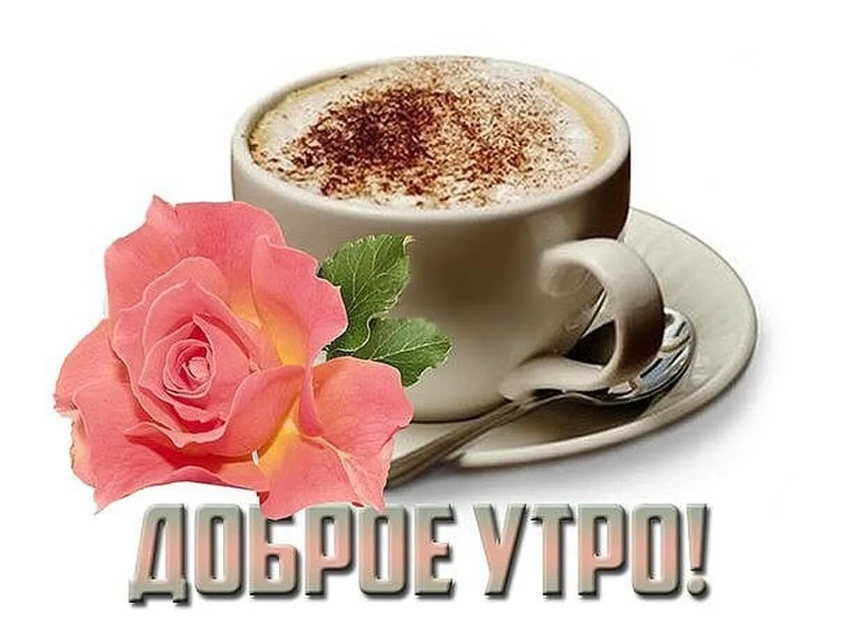 Цените утро. Стикеры с добрым утром. стикеры с добрым утром красивые. доброе утро стикеры красивые. стикеры с добрым утречком.