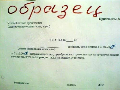 Жизнь справок не дает 2023 содержание. Справка в пенсионный фонд. Справка об отсутствии пенсии. Справка ПФР. Справка об отсутствии лиц уходящих на пенсию.