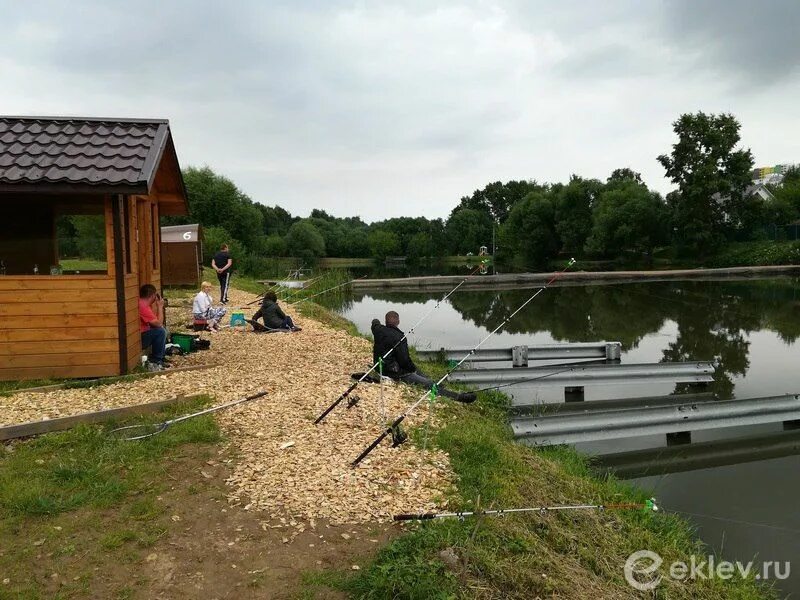Белый карп новодрожжино беседки. Белый карп новодрожжино беседки. Белый карп рыбалка в бутово. Турбаза вологда. Чернятино платная рыбалка.