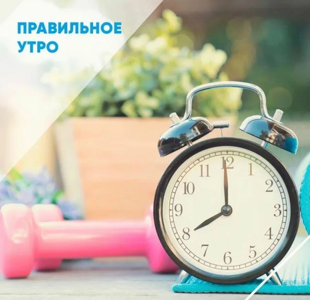 Кто установить утро. Правильное утро. начинаем утро правильно. счастье будильник. правильное утро картинки.
