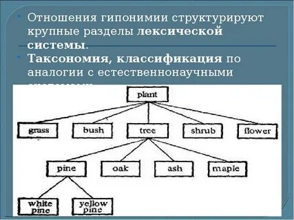 Система соотношений