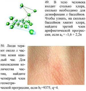 Задача организма