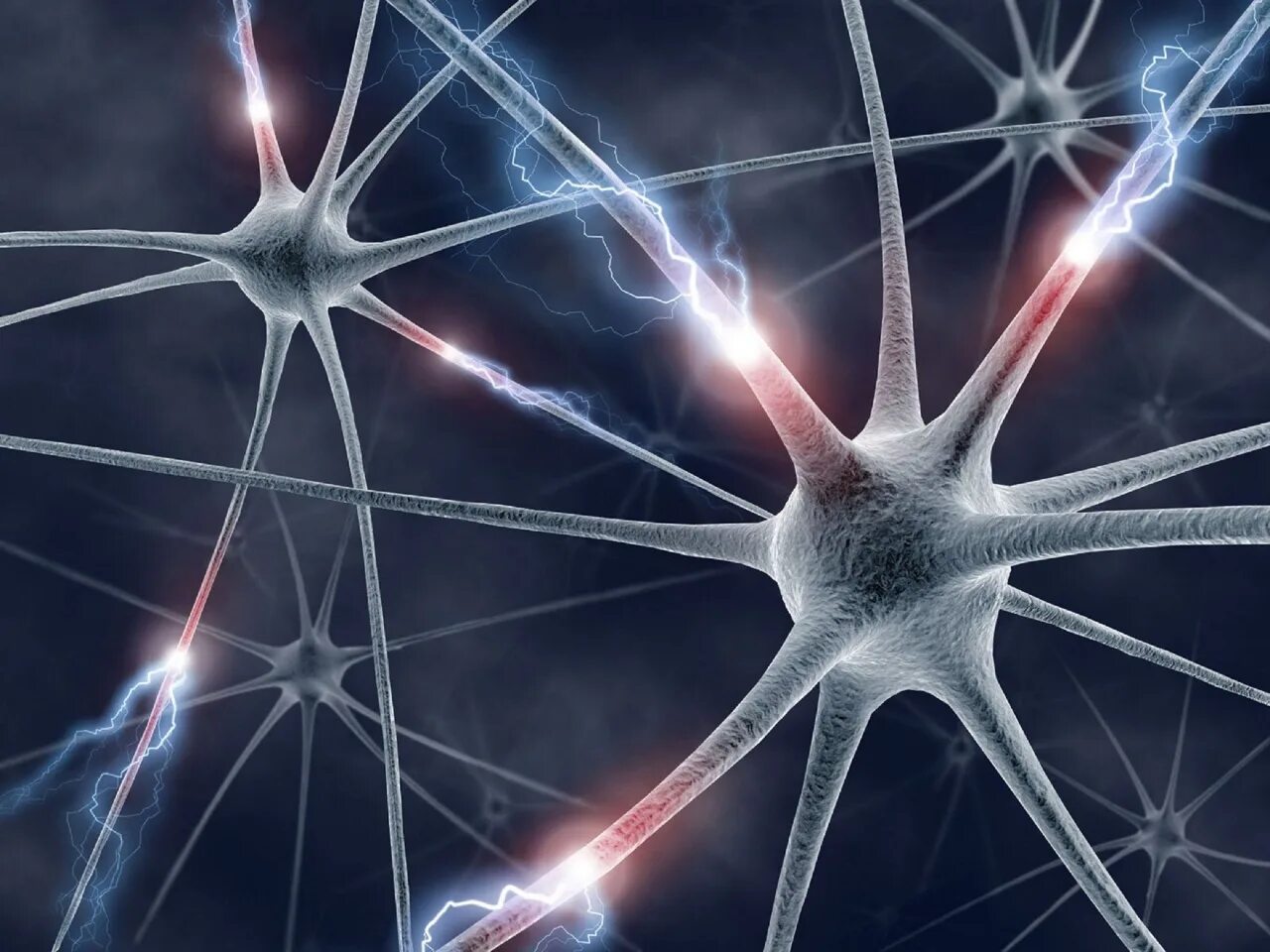 Электрическая активность клеток. Нервный Импульс в нейронах. Клетки головного мозга. Нейронная клетка. Клетки мозга Нейроны.