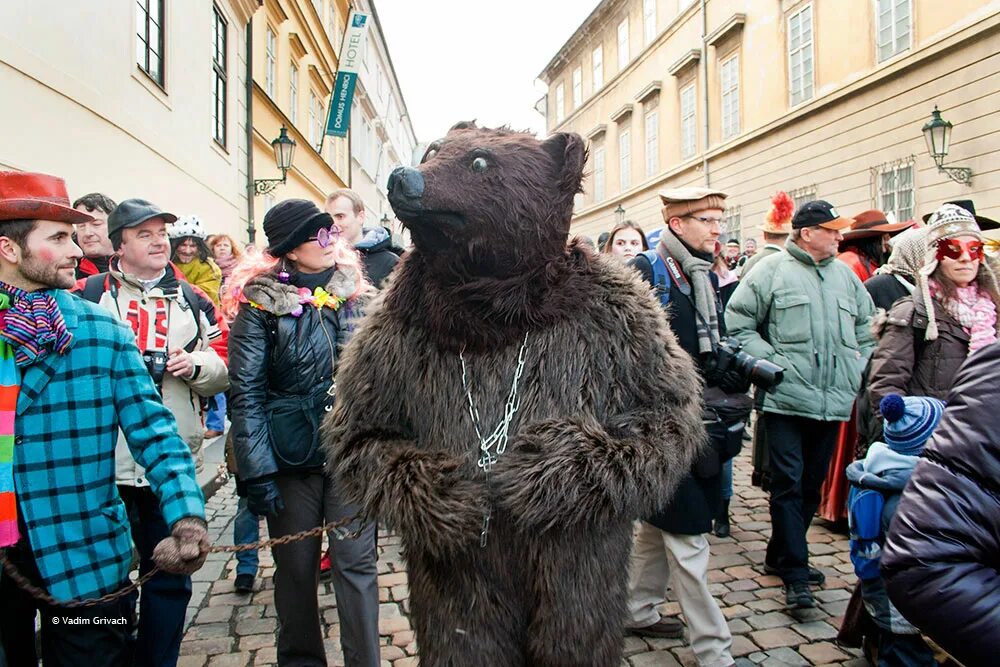 Сценарий масленицы с медведем. Медведь на Масленицу. Ряженый медведь. Медведь на Ярмарке. Ряженый медведь на Масленицу.