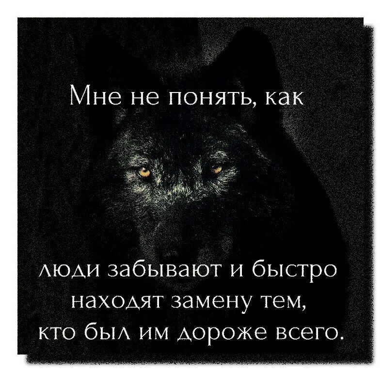 Забывайте плохое. Хорошее забывается быстро плохое. Злопамятный человек цитаты. Хорошее быстро забывается. Высказывания о злопамятных людях.