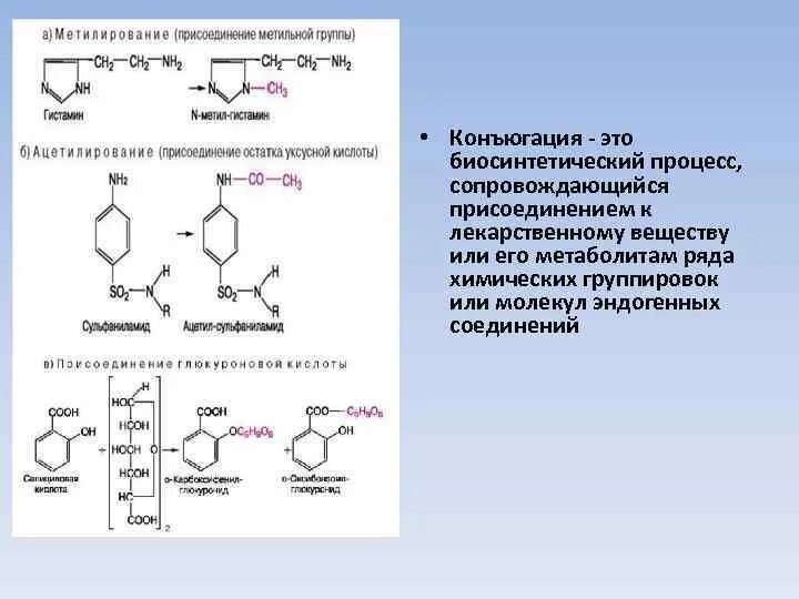 Присоединение метильной группы к днк