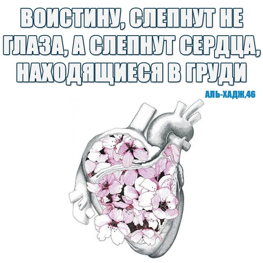 Скажи ди