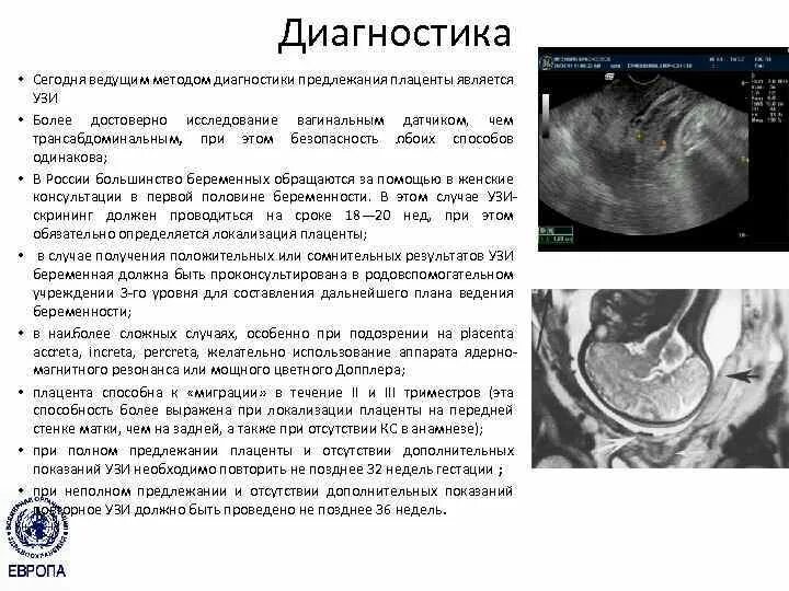 Отслойка хориона на ранних сроках. УЗИ протокол предлежание плаценты. Отслойка плаценты УЗИ протокол. Центральное предлежание плаценты УЗИ описание.