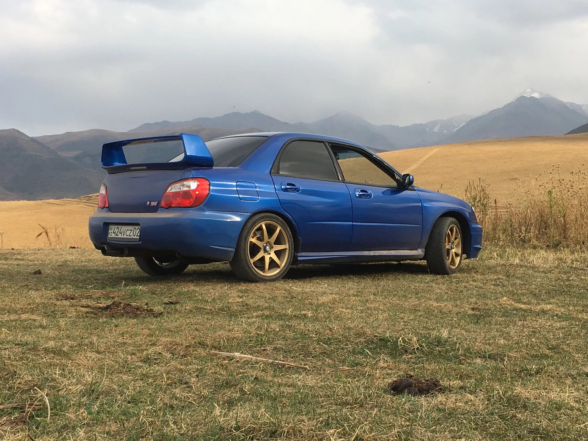 Линзы на субару импреза gd. Субару конь. Subaru impreza wrx конь. Субару конь импреза желтые туманки. Subaru impreza wrx sti 2005.