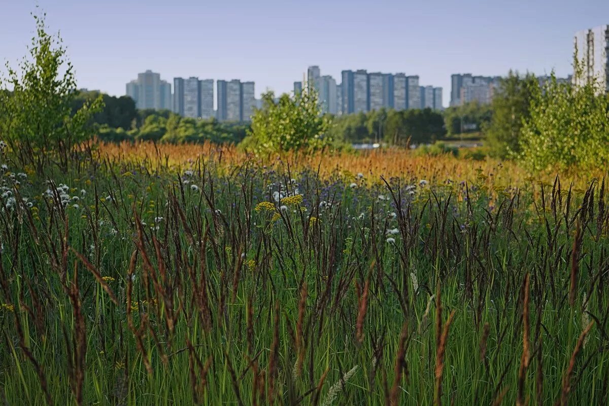 Ясенево сейчас