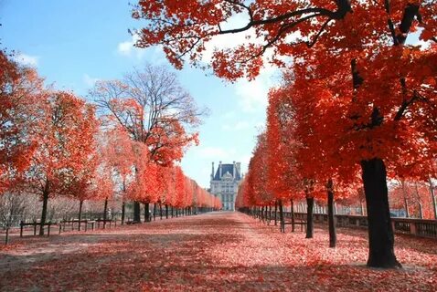 Red path