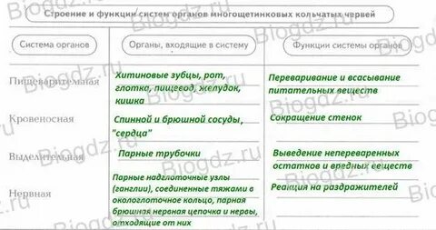 Система органов круглых и кольчатых червей