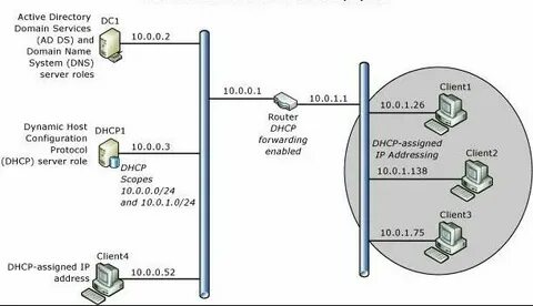 Dhcp клиент dns