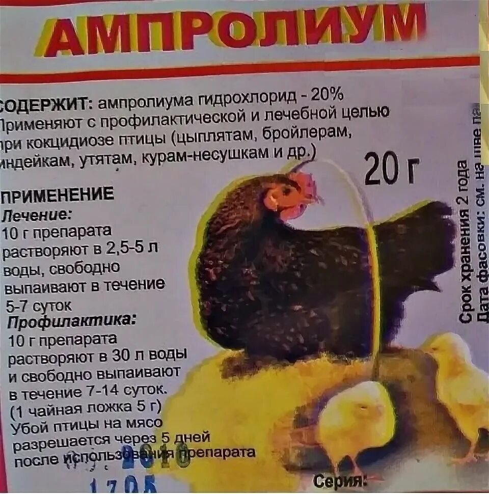 Эриприм инструкция по применению для птицы. Лекарство для кур. Препараты от кокцидиоза для цыплят бройлеров. Лекарство от кокцидиоза для кур несушек. Лекарства и витамины для цыплят несушек.