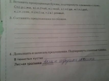 Предложение в тенистых кустах