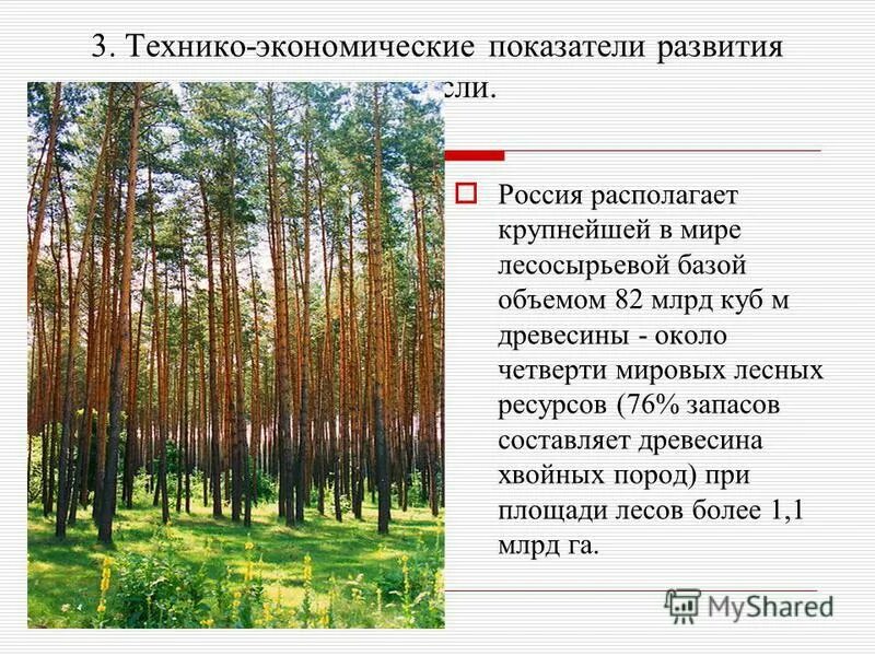 География лесной отрасли. Тест по теме лесной комплекс. Тест 9 химико-лесной комплекс вариант 1 ответы. Задание по химико лесному комплексу. Контрольная работа по промышленность россии.