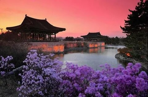 Sn korea