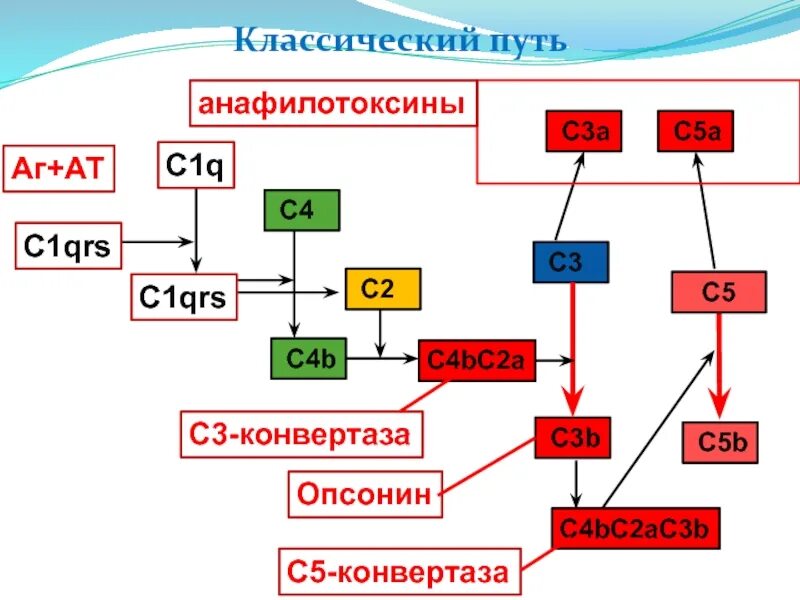 А c 2 c 3 б