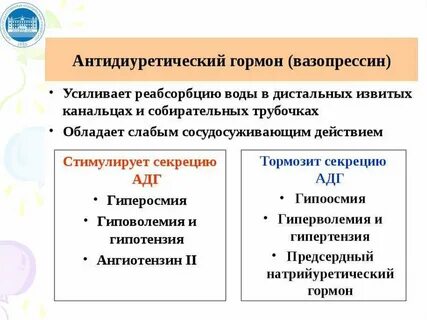 Основные эффекты вазопрессина