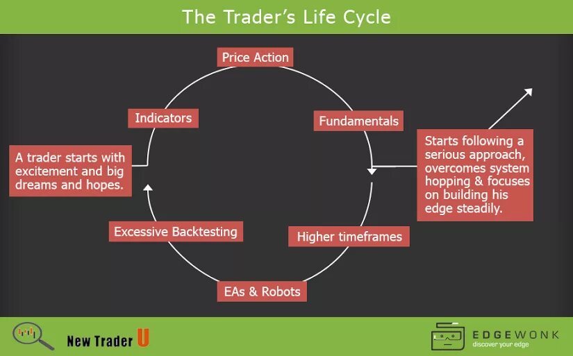 Actions cycles. Life cycles. the trade lifecycle. the action cycle. trade cycle картинки.