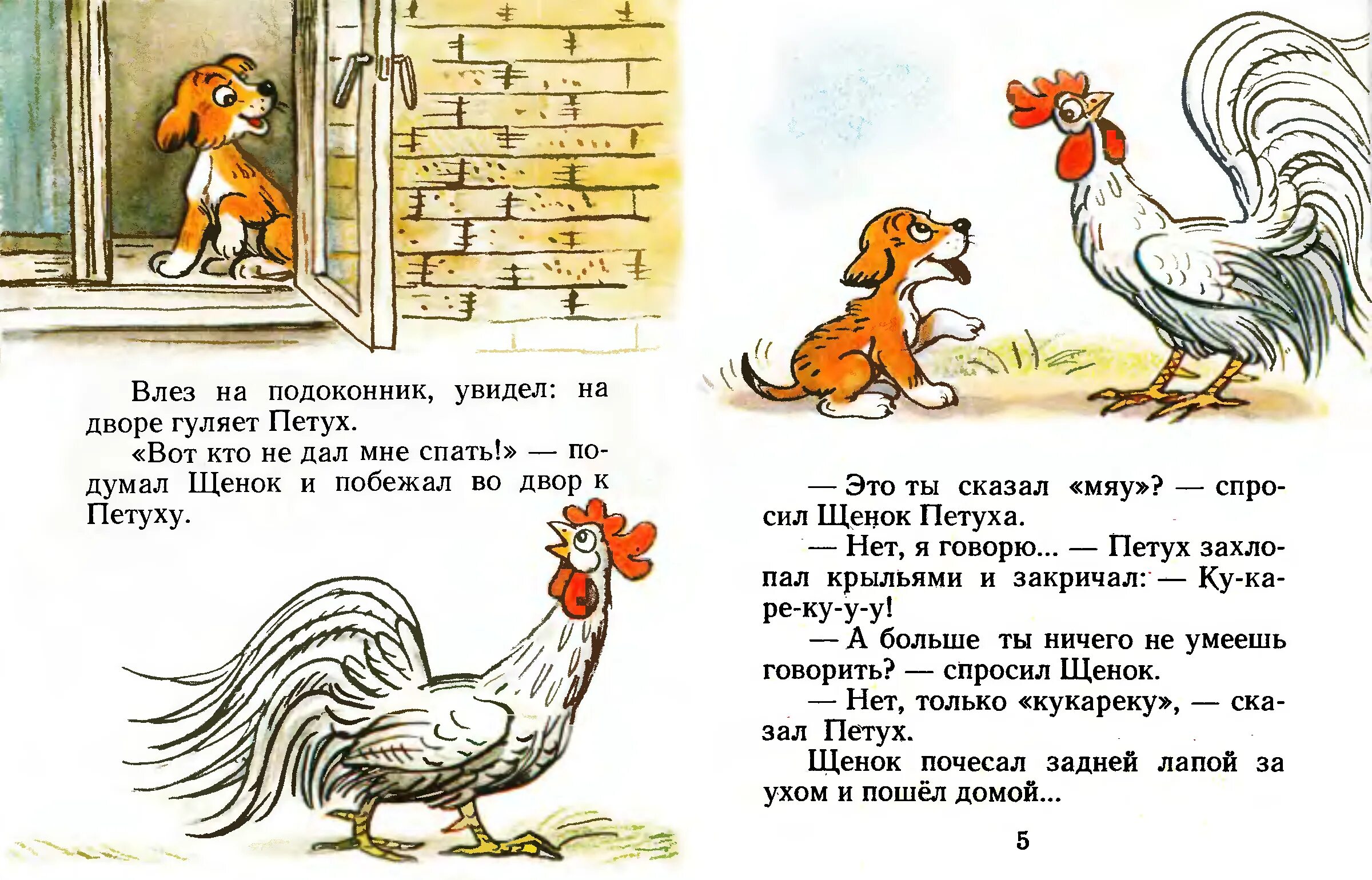 Если ты счастлив скажи мяу. Типичные коты. Типичные коты. Если ты котик скажи мяу. Если счастливый котик скажи мяу.