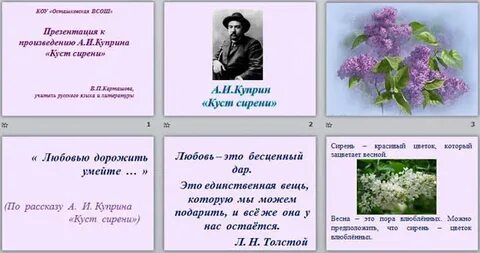 Главные герои рассказа сирень