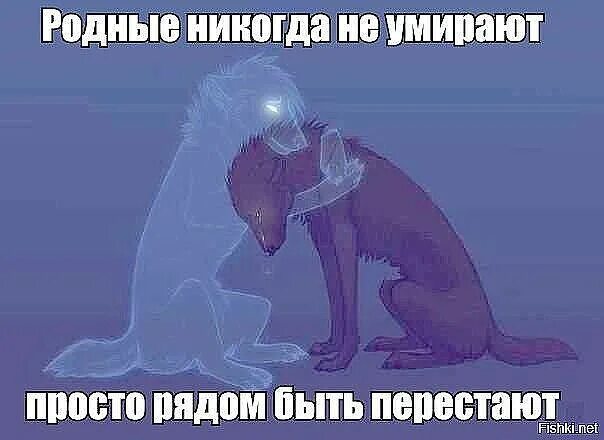 Те кого уже нет