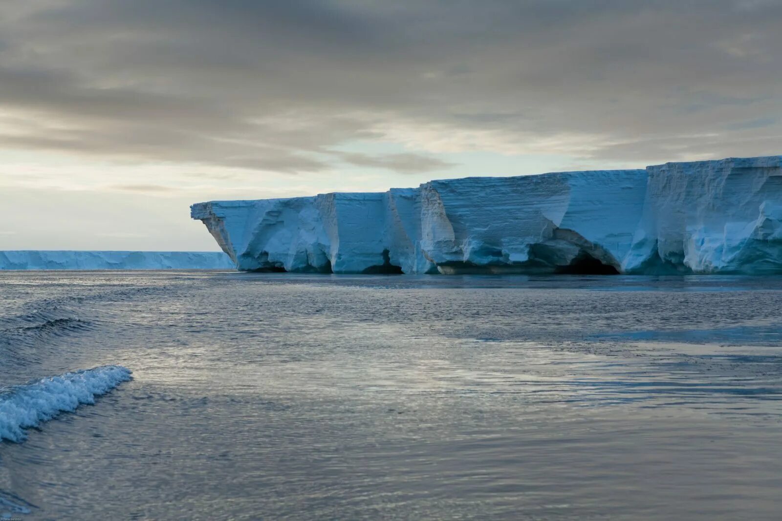 Россия океан южный. Шельфовые ледники Антарктиды. Шельф ледник Росса. Ледник Росса в Антарктиде. Ледовый шельф Росса.