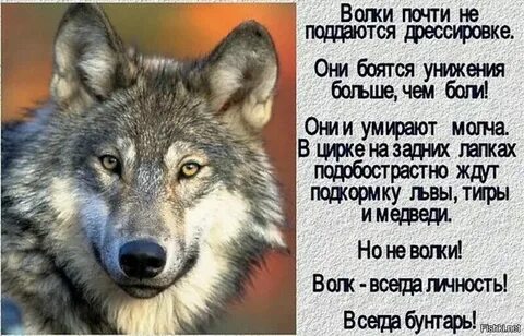В округе только злые
