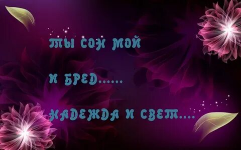 Ты мой сон