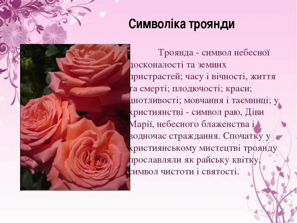 Троянда текст. Троянда текст. Троянда текст. Троянда текст. Троянда текст.