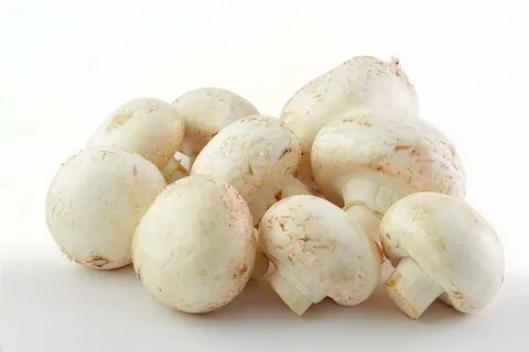Можно ли есть шампиньоны