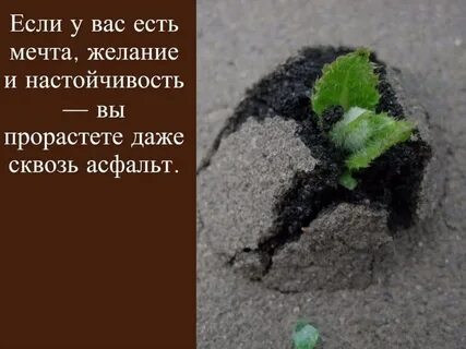 Только когда есть мечта