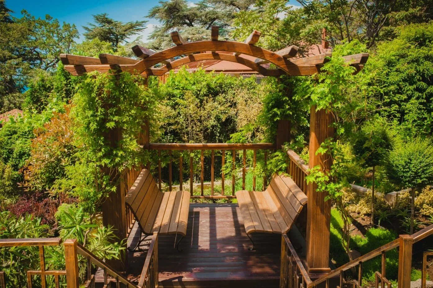 Санаторий сосновая роща гаспра. Санаторий сосняк ялта. Парк чаир гаспра. Сайт санатория сосновая роща. Зеленая роща крым.