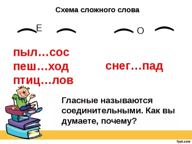 Существительные без соединительной гласной. Сложные слова с соединительной гласной о и е. Слова с двумя корнями соединительная гласная е. Слова с 2 корнями соединительная гласная о. Слова с 2 корнями соединительная гласная е.