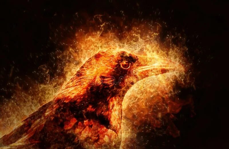 Огненный ворон. Черный ворон огненный. Crows fire. Птица на фоне огня. Огненный ворон.