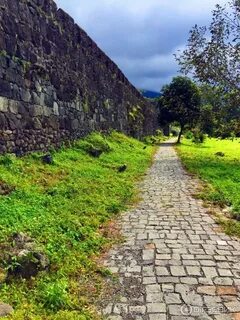 Гонио аджария