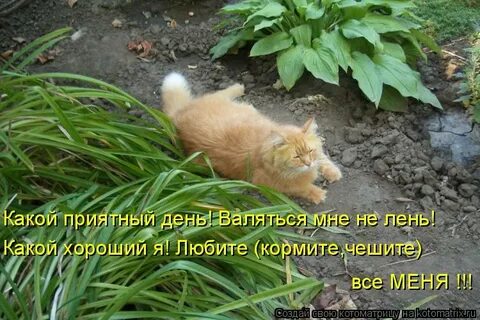 Как хорошо когда другие чешут на работу