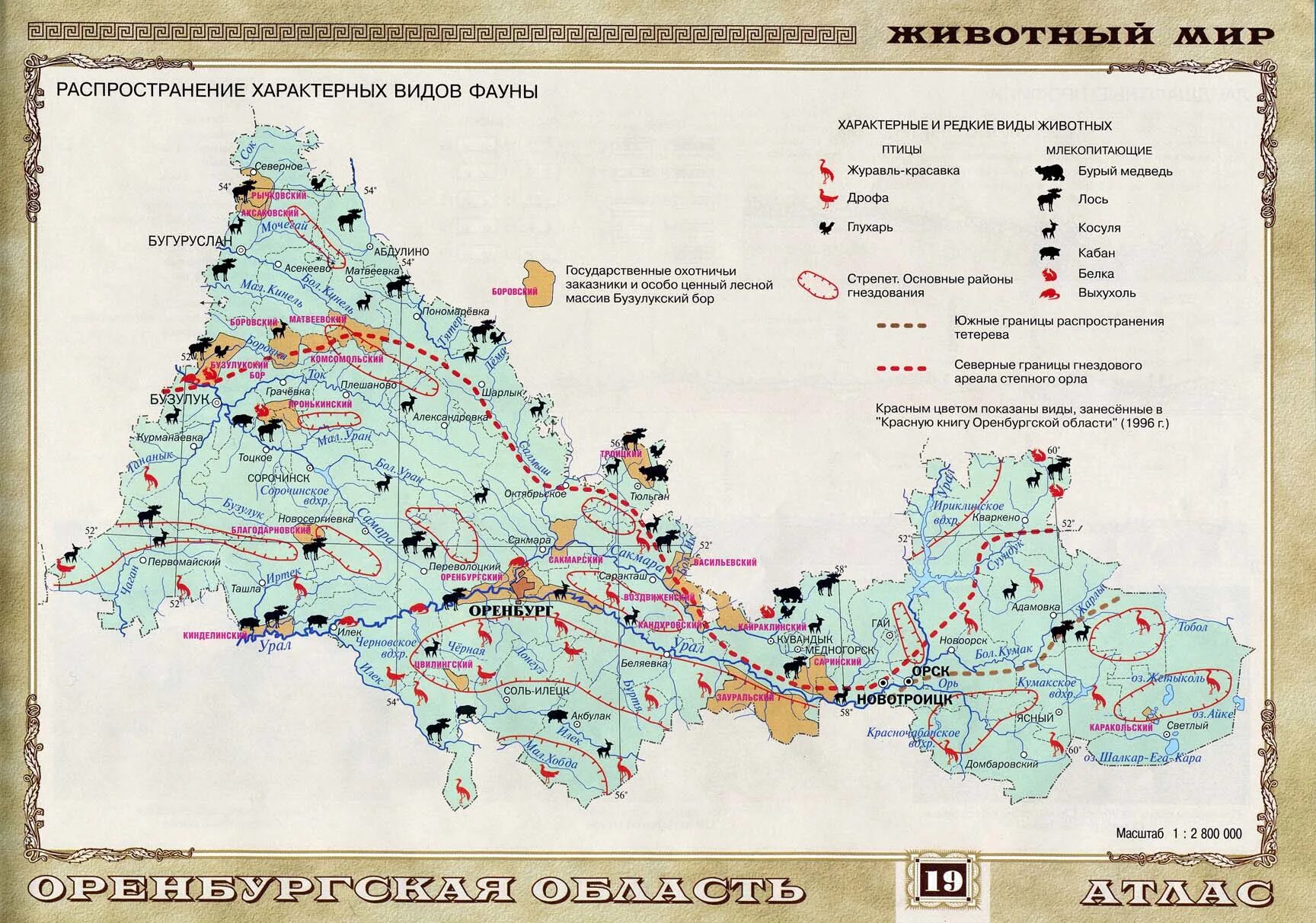 Какие ископаемые в ленинградской области. Карта Оренбургской области с месторождениями полезных ископаемых. Карта Оренбургской области животный мир. Карта растительности Оренбургской области. Полезные ископаемые Оренбургской области карта.